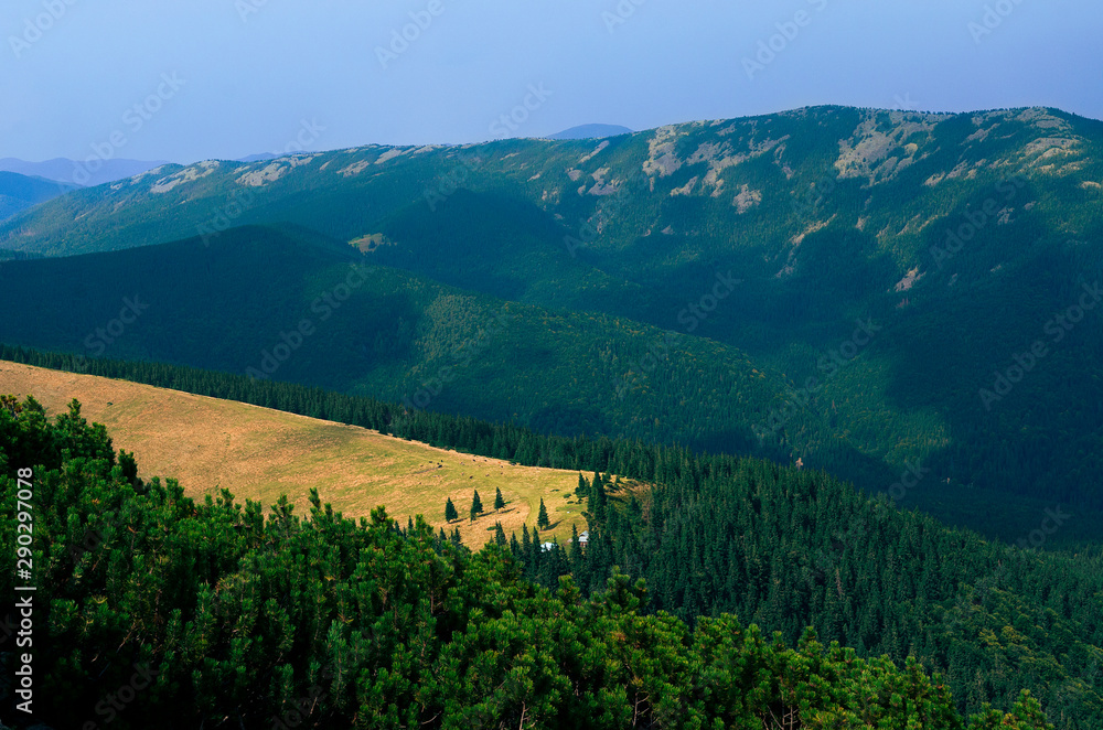 A mountain meadow where cows graze surrounded by mountain peaks