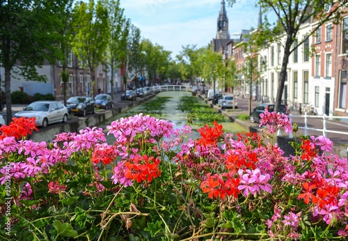 DELFT, THE NETHERLANDS:  Beautiful urban landscape with flowers on a bridge over a canal. Focus on flowers. © Светлана Федорова