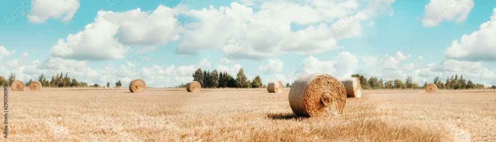 Harvested field with straw bales. Agriculture background with copy space. Summer and autumn harvest concept. Banner Harvested field with straw bales. Agriculture background with copy space. Summer and autumn harvest concept. Banner