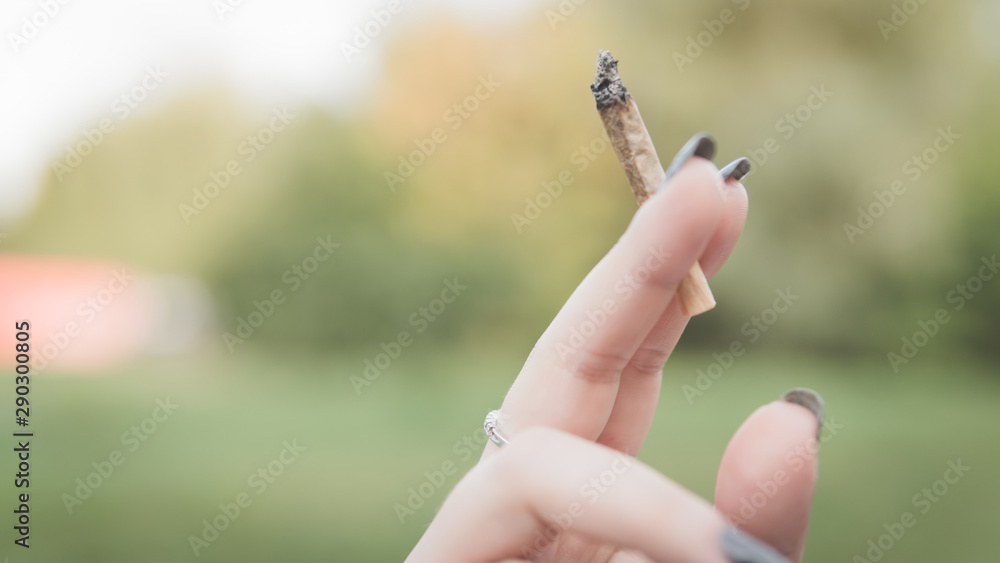 Close-up of females hands holding marijuana joint, smoking cannabis blunt outdoors. Close-up of females hands holding marijuana joint, smoking cannabis blunt outdoors.