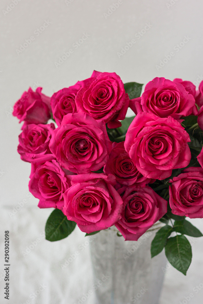 Roses on grey background beautiful flowers