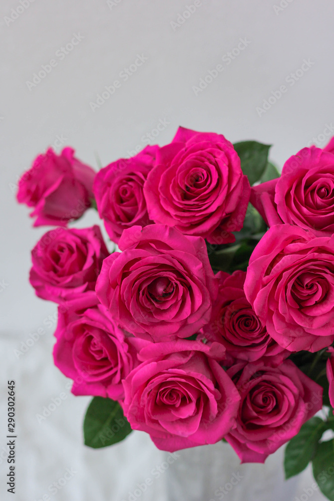 Roses on grey background beautiful flowers Roses on grey background beautiful flowers