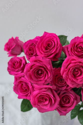Roses on grey background beautiful flowers