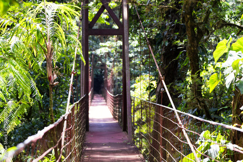 Suspended bridge crossing a lush tropical rainforest. Shallow depth of field. Monteverde foresta nebulosa, Santa Elena, Costa Rica. Ecotourism and adventure concept. © Marco