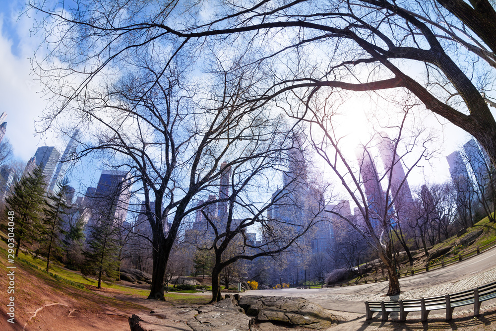 Morning spring view of New York from central park Morning spring view of New York from central park