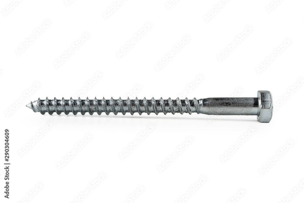 Screw Screw