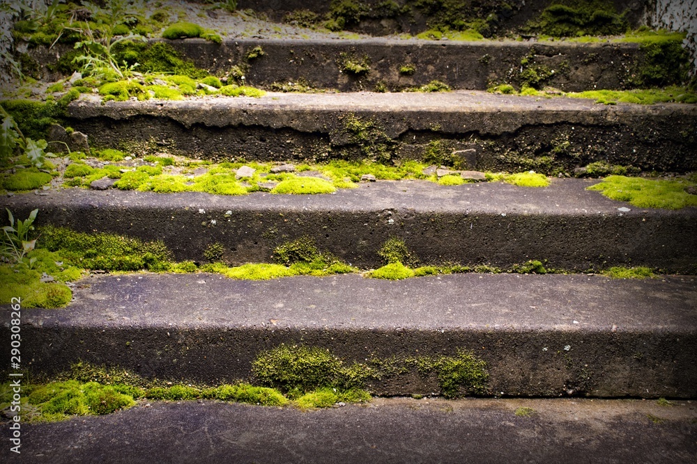 Background of the steps of the old stairs, overgrown with moss Background of the steps of the old stairs, overgrown with moss