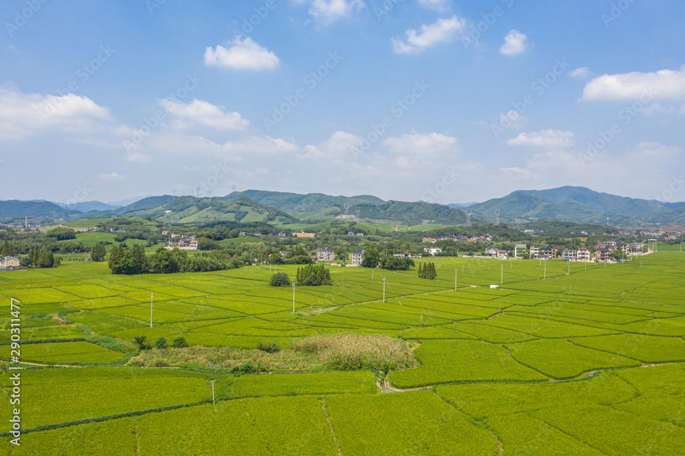 Fototapeta premium village with mountain