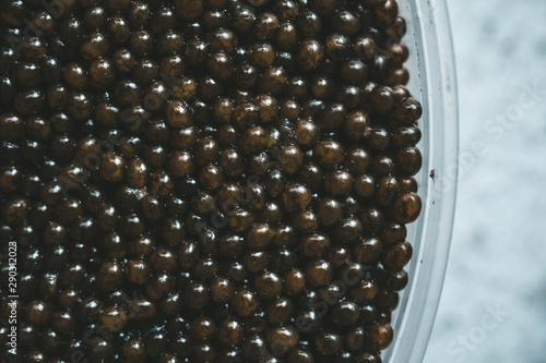 Sturgeon black caviar in can on white background photo