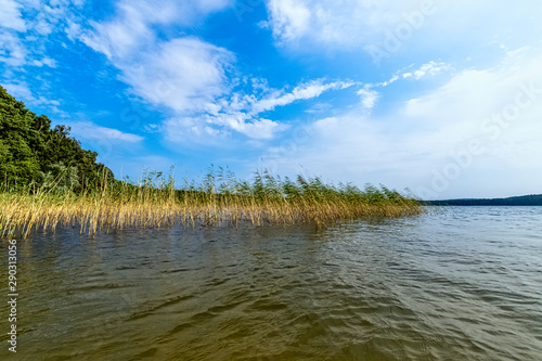 Fototapeta Naklejka Na Ścianę i Meble -  Choczewskie Lake, Choczewo, Pomerania, Poland