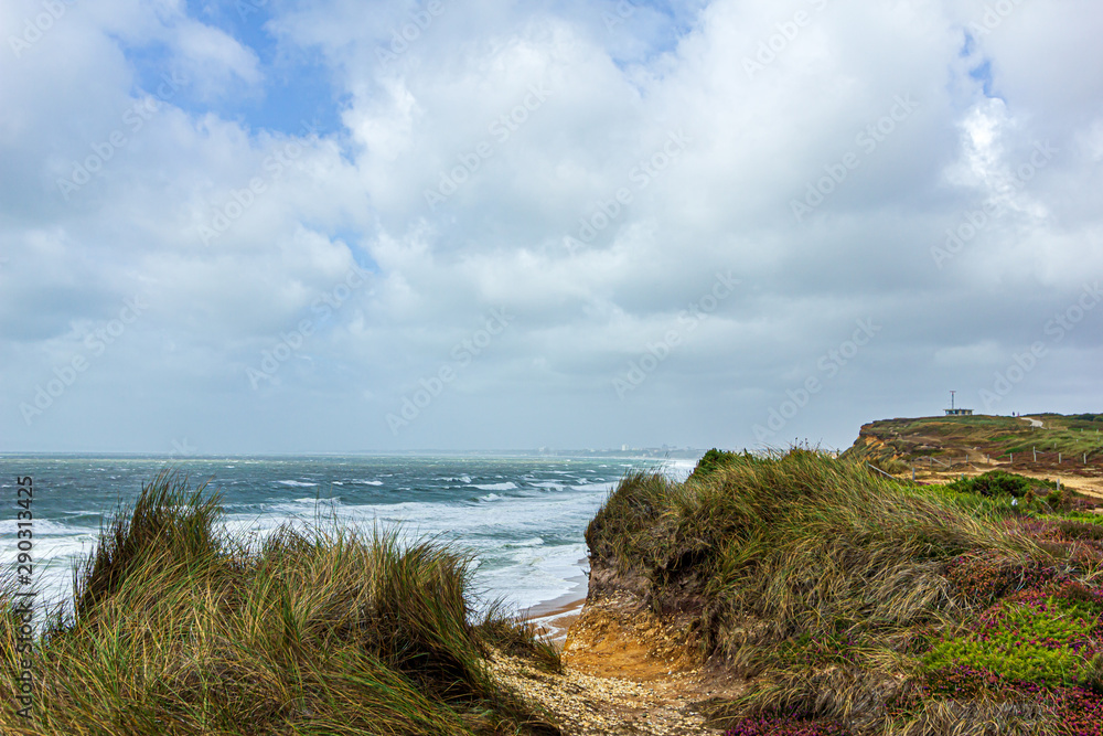 A view of a bay from a hill during a major storm with huge wave, choppy sea and foam with green vegetation on the foreground under a grey sky