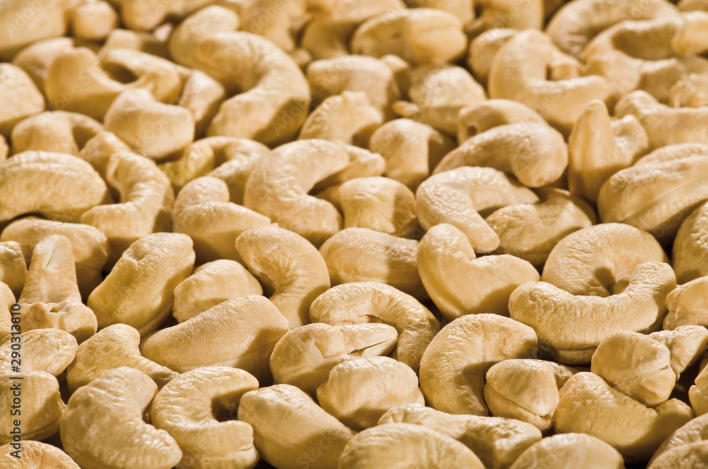 Cashewnüsse Cashewnüsse
