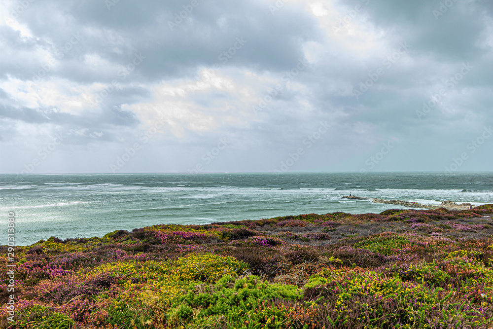A view of colorful wild vegetation on the top of a hill along the coastline with choppy sea under a grey sky