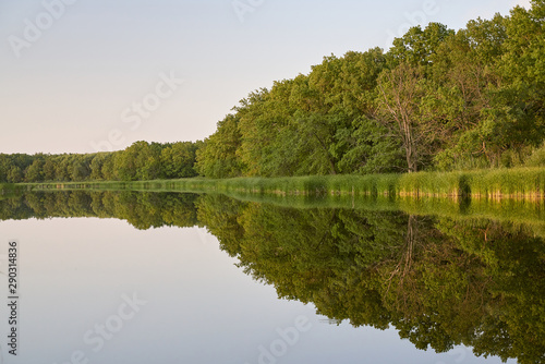 Fototapeta Naklejka Na Ścianę i Meble -  symmetrical reflection trees, grass, sky in pond