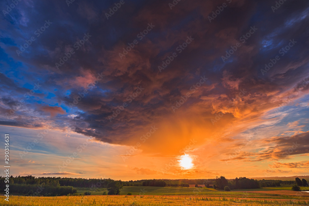 Summer field at sunset with dramatic clouds Summer field at sunset with dramatic clouds