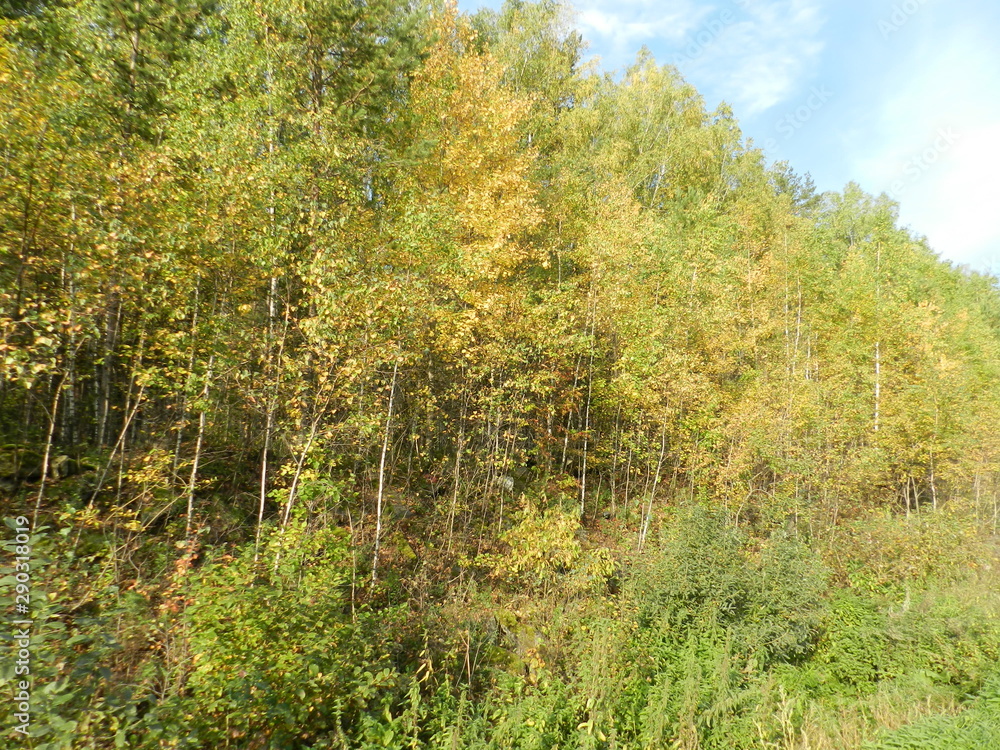 Ural autumn