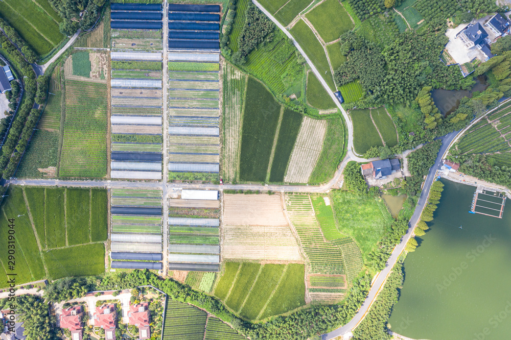 Fototapeta premium farm in hangzhou china