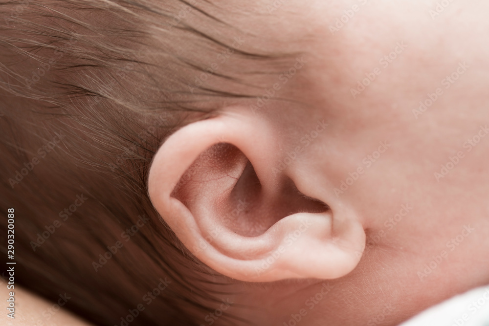 Fototapeta premium Close-up of newborn baby ear
