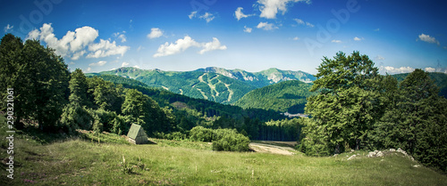 Panoramic view of idyllic mountain scenery with fresh green meadows © guruXOX