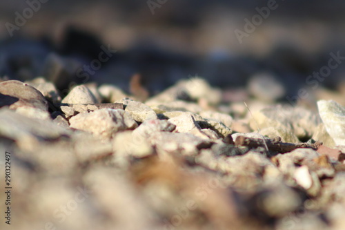 Close-Up Rocks
