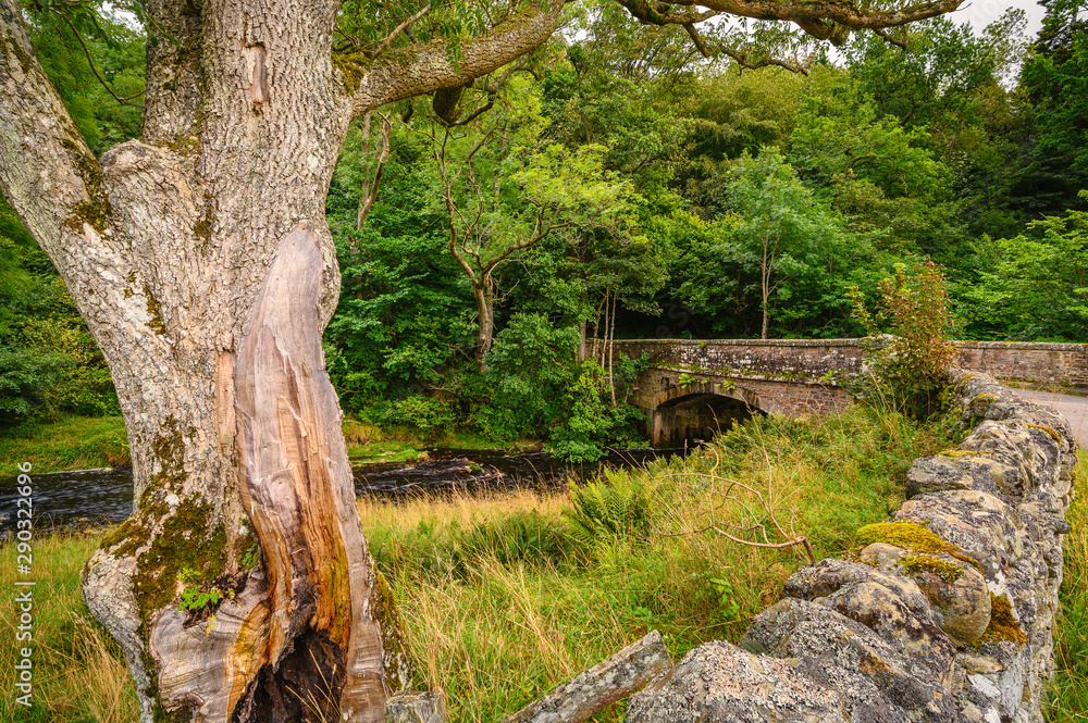 River West Allen Road Bridge near Ninebanks, where much of the riverside is heavy woodland after leaving the moors in Northumberland River West Allen Road Bridge near Ninebanks, where much of the riverside is heavy woodland after leaving the moors in Northumberland