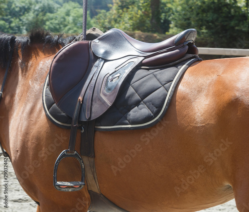 Saddle on a bay horse with black pad