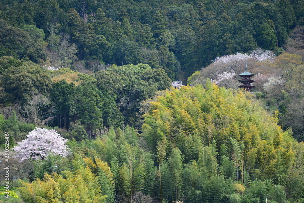 京都