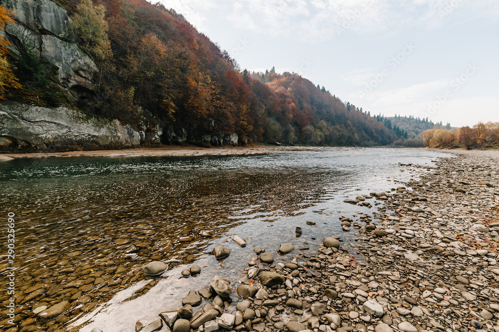 Fototapeta premium Clear river with rocks leads towards mountains..lit by sunset. Mountain fast flowing river stream of water in the rocks with blue sky. Landscape with forest, river and stones. The mountain river.