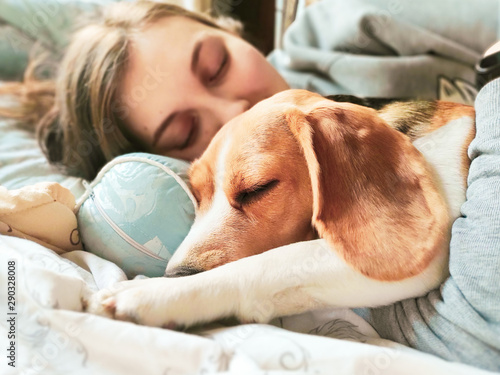Girl and beagle dog sleep together. Girl hugs a dog. Home pet. Love.