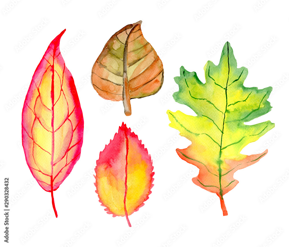 Naklejka premium Watercolor autumn leaves set isolated on white background. Orange and red fall leaf. Hand painted illustration. 