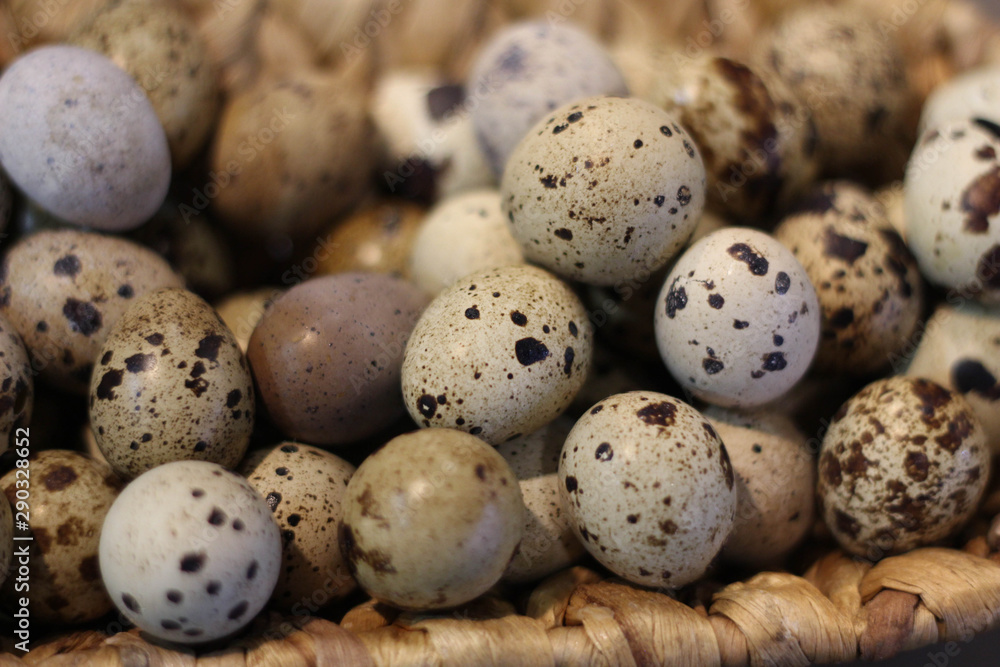 Healthy quail eggs stock photo. What to do with quail eggs. Easter Background stock photo. Birds life. Natural and high quality dietary product, many biologically active substances, valuable minerals Healthy quail eggs stock photo. What to do with quail eggs. Easter Background stock photo. Birds life. Natural and high quality dietary product, many biologically active substances, valuable minerals