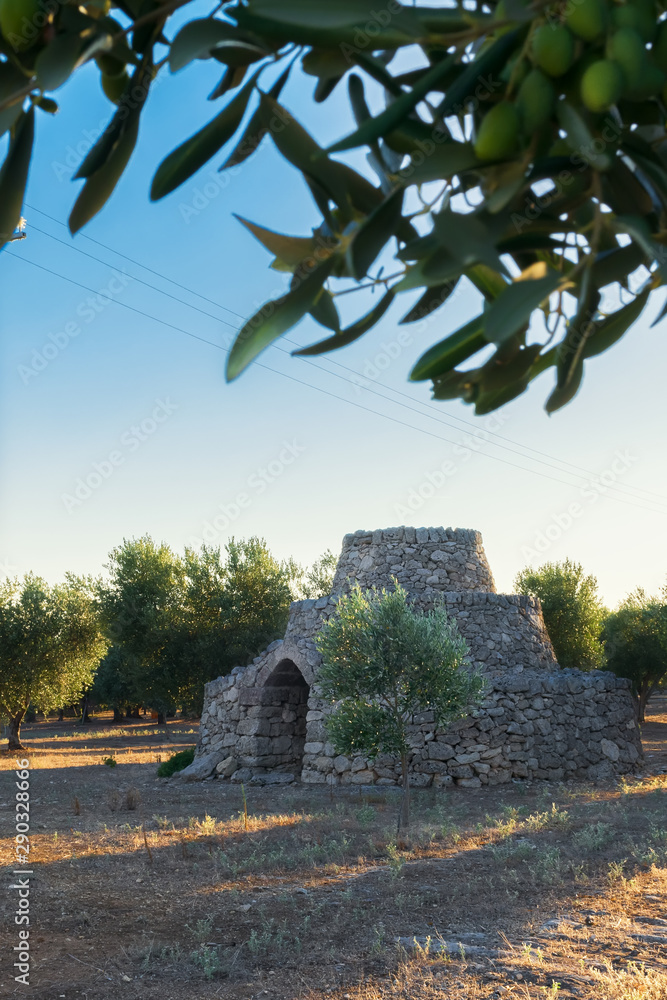 Fototapeta premium View of conical roof of traditional stone trullo house in Alberobello in the Itria Valley, Puglia. Trullis are unique to this part of southern Italy