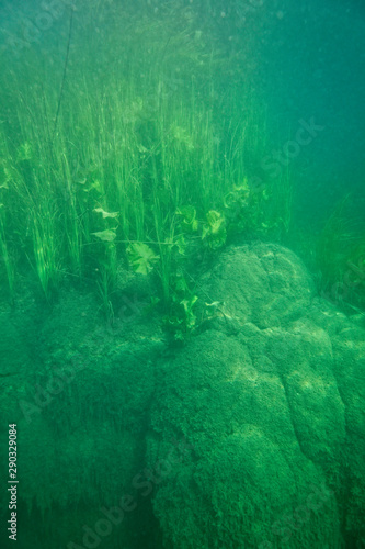 Underwater world of Krka National Park, Croatia