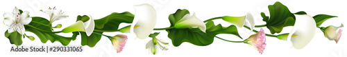 Flowers. Floral background. Eustoma. Calla. White. Border. Green leaves. Horizontal pattern. Lilies.