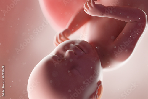 Fotografiet 3d rendered medically accurate illustration of a human fetus - week 38