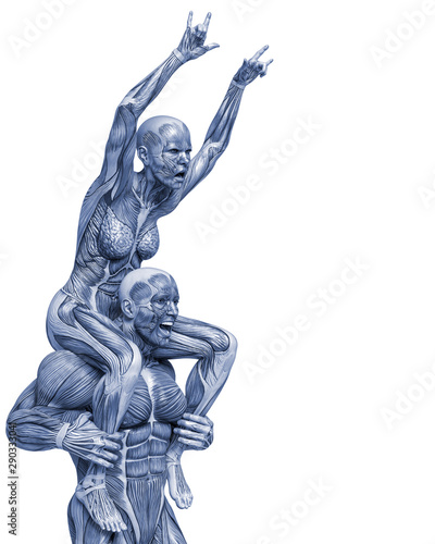 muscle couple man and woman yoga anatomy in an white background