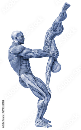 muscle couple man and woman yoga anatomy in an white background © DM7