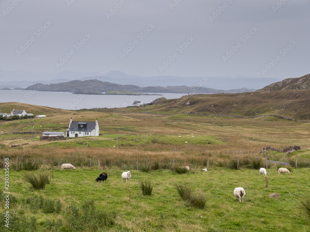Paysage typique pastoral des highlands (péninsule de Stoer)