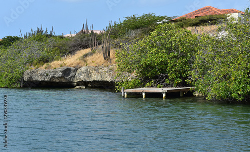 Small Dock on the Coast of Mango Halto in Aruba photo