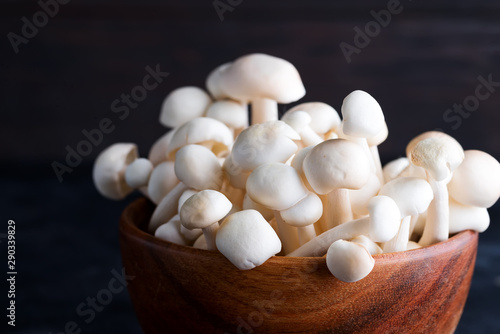 White buna-shimeji in wooden rustic bowl on stone dark background