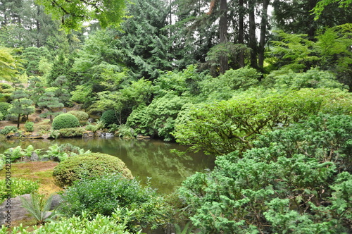 Japanese Garden Pond © Loui