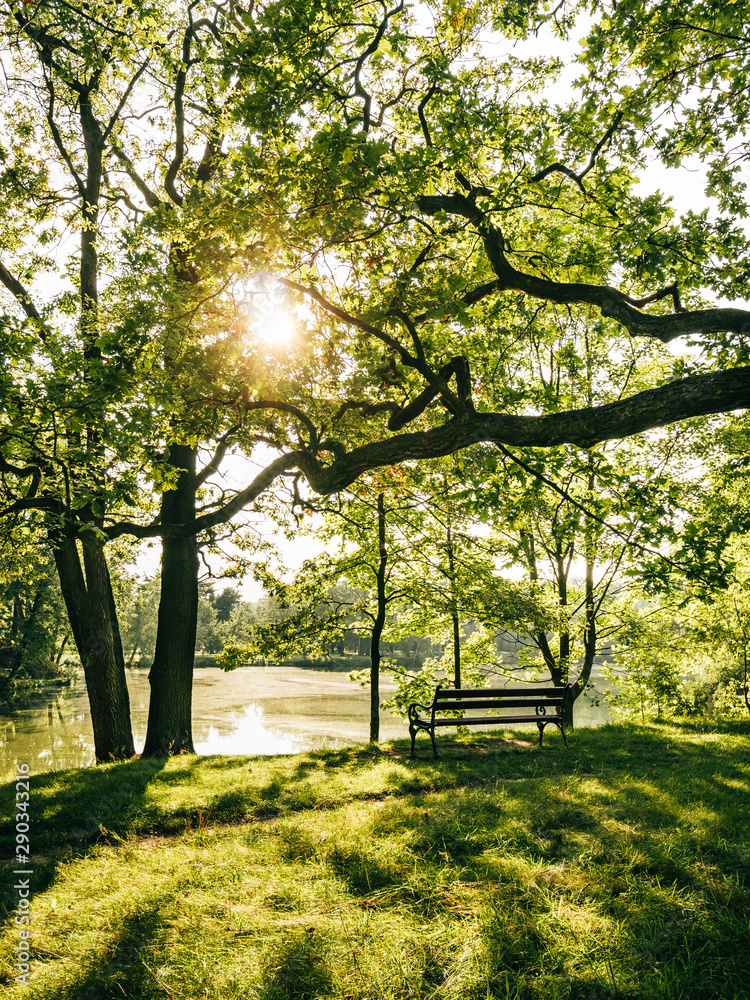 Ławka w parku Świerklaniec Park