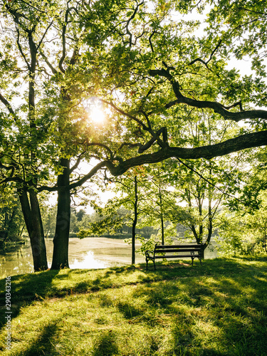 Obraz na płótnie Ławka w parku Świerklaniec Park w salonie
