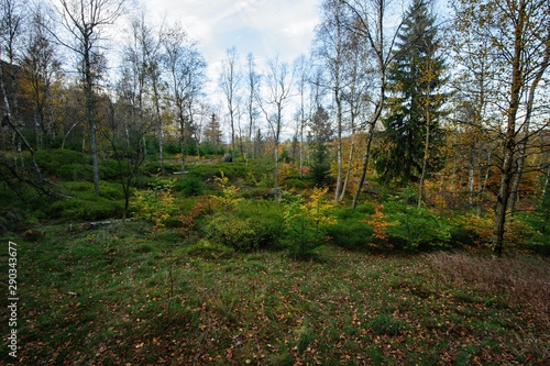 Autumn landscape - all beautifully colored