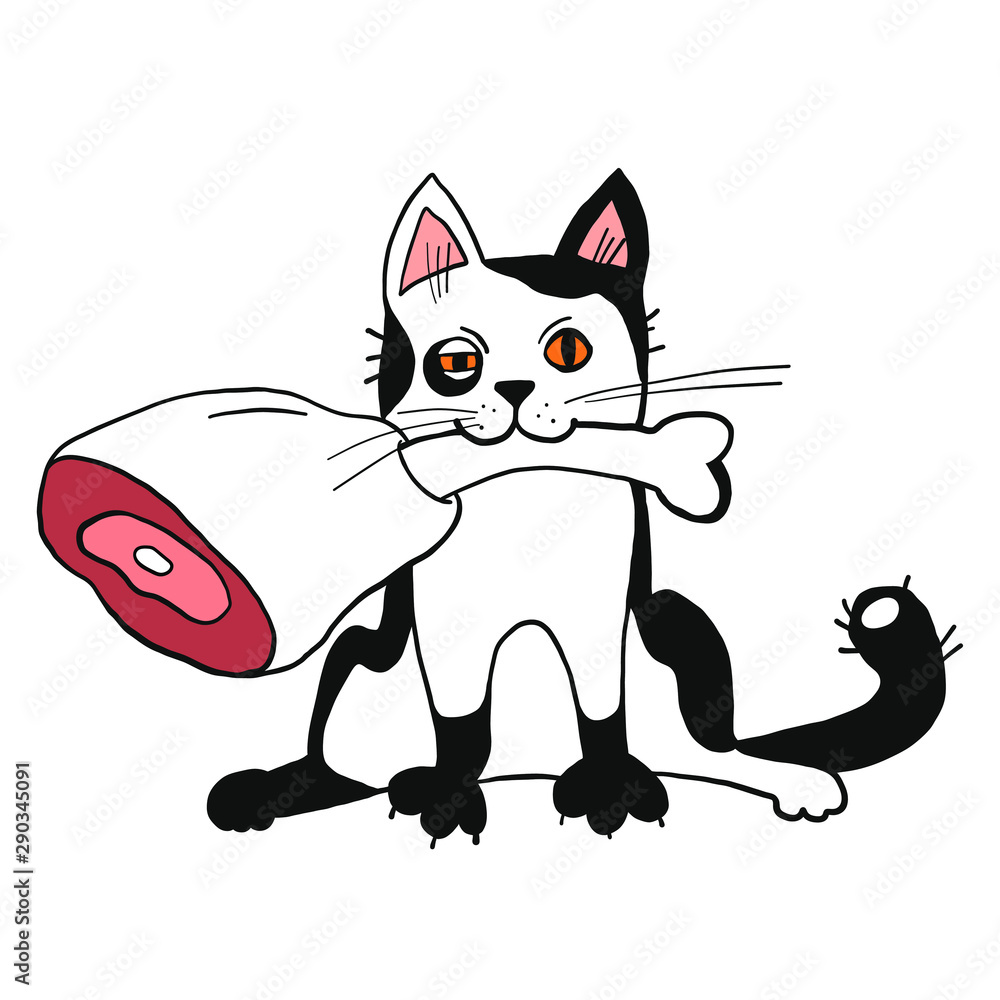 Obraz premium a cute white and black cat with yellow orange eyes holding a huge chunk of red meat in his mouth - funny flat hand drawn vector illustration