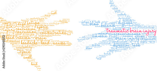 Traumatic Brain Injury Word Cloud on a white background. 