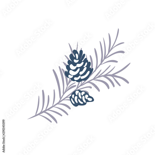 Hand drawn Christmas vector element of pine cone with branch and place for your text. Concept xmas winter holiday for design. Happy New Year