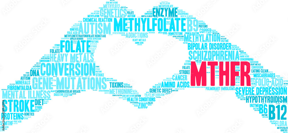 MTHFR Word Cloud on a white background. MTHFR Word Cloud on a white background.