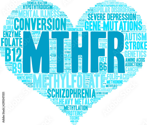 MTHFR Word Cloud on a white background.  photo