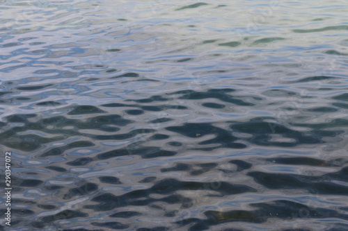 Waves of the Leman lake with some waste